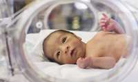 Therapeutic Hypothermia Protecting Newborn Brains from Oxygen Deprivation Damage